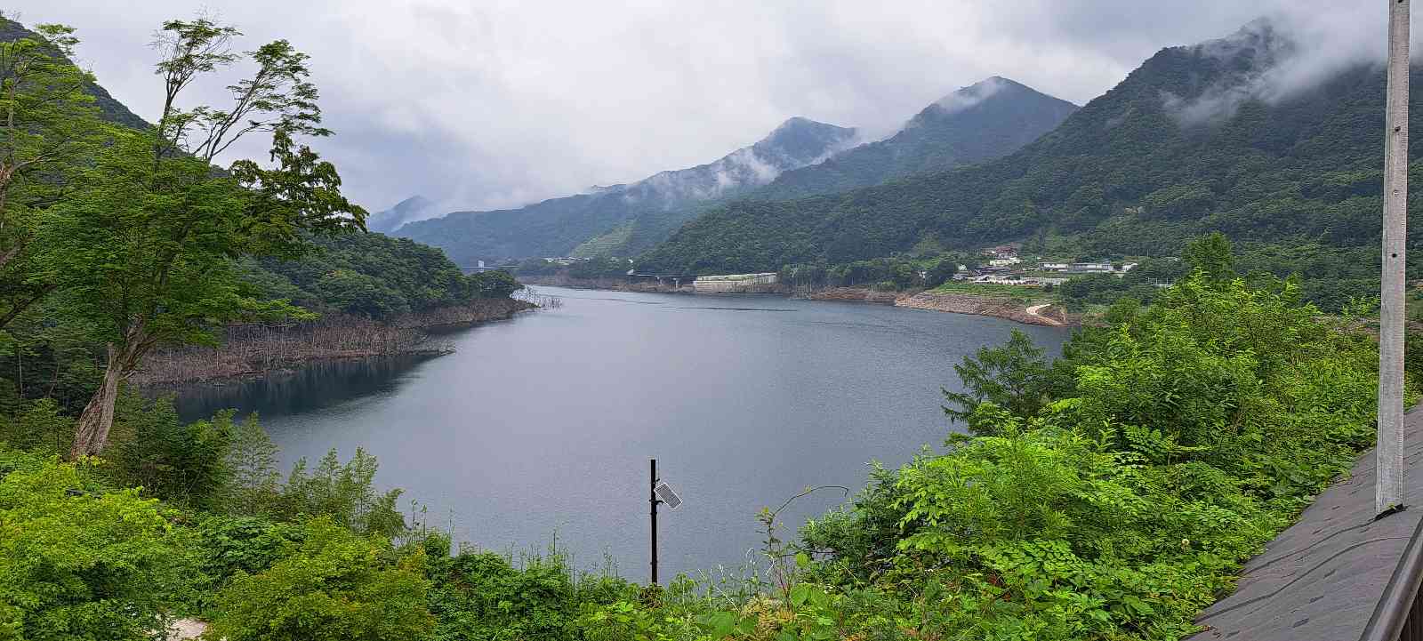 投稿された画像