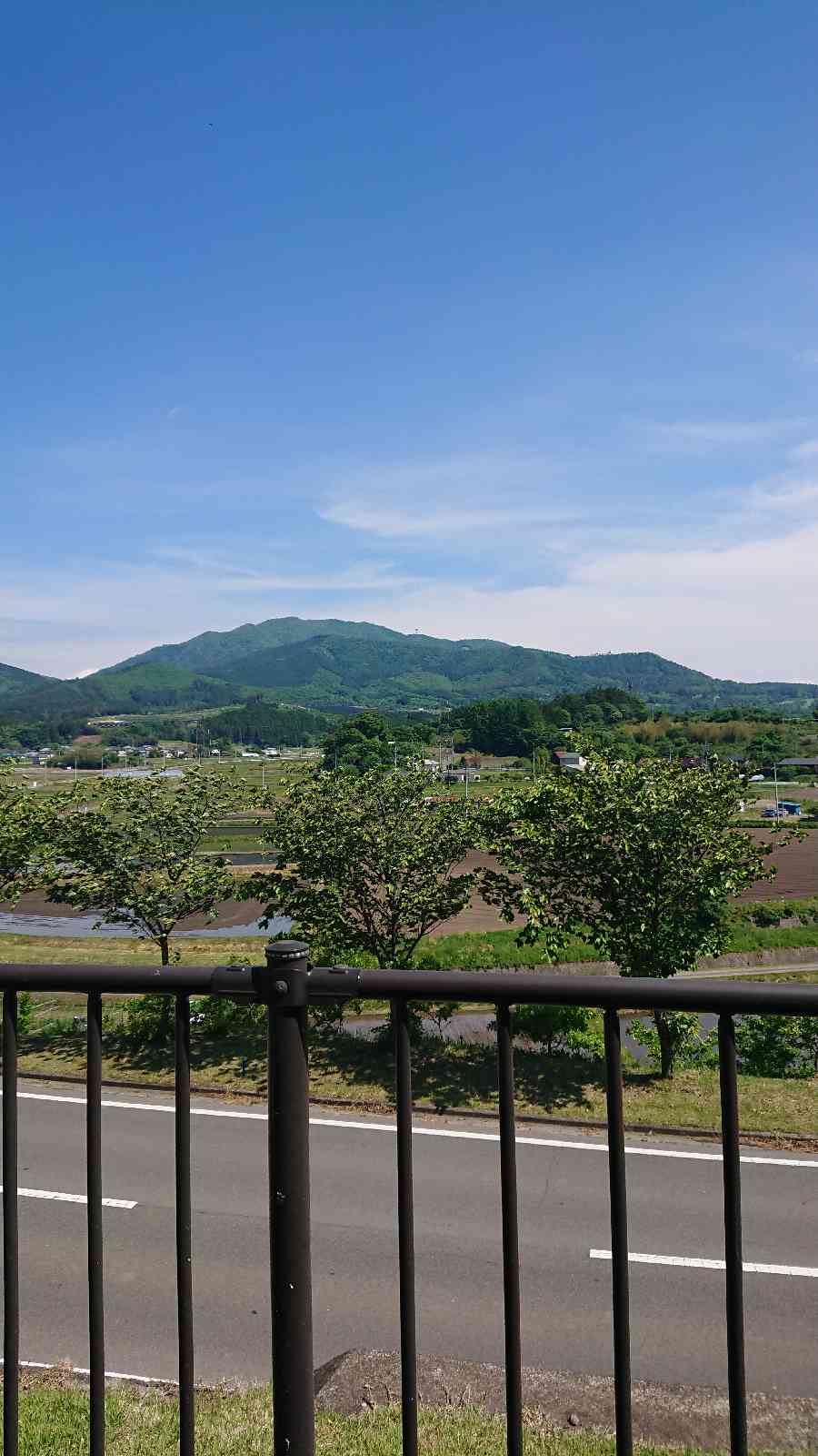 投稿された画像