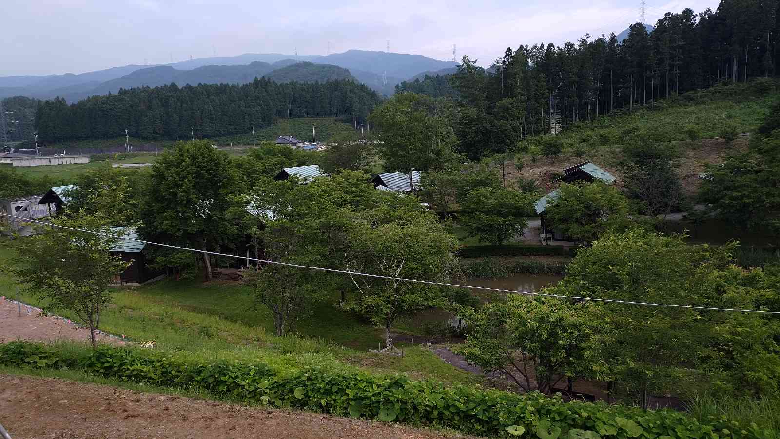 投稿された画像