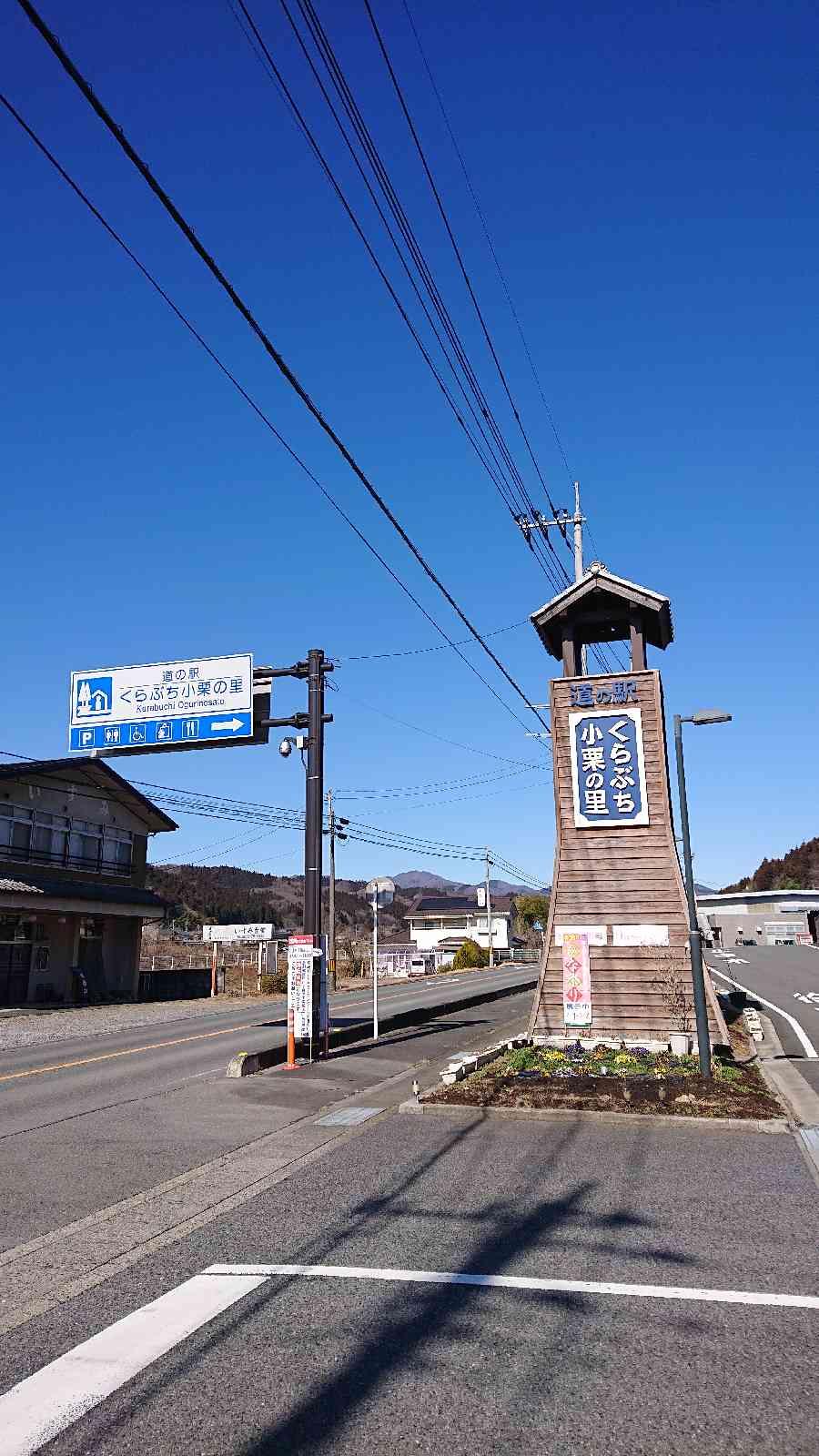 投稿された画像