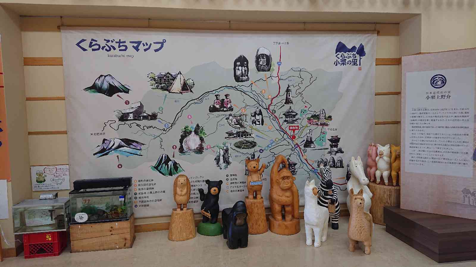 投稿された画像