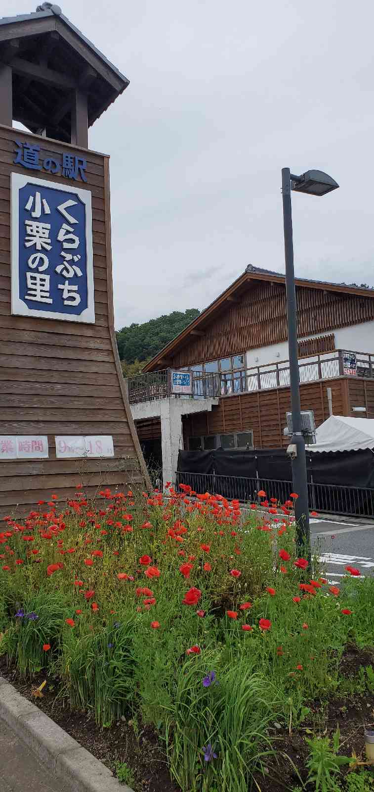 投稿された画像