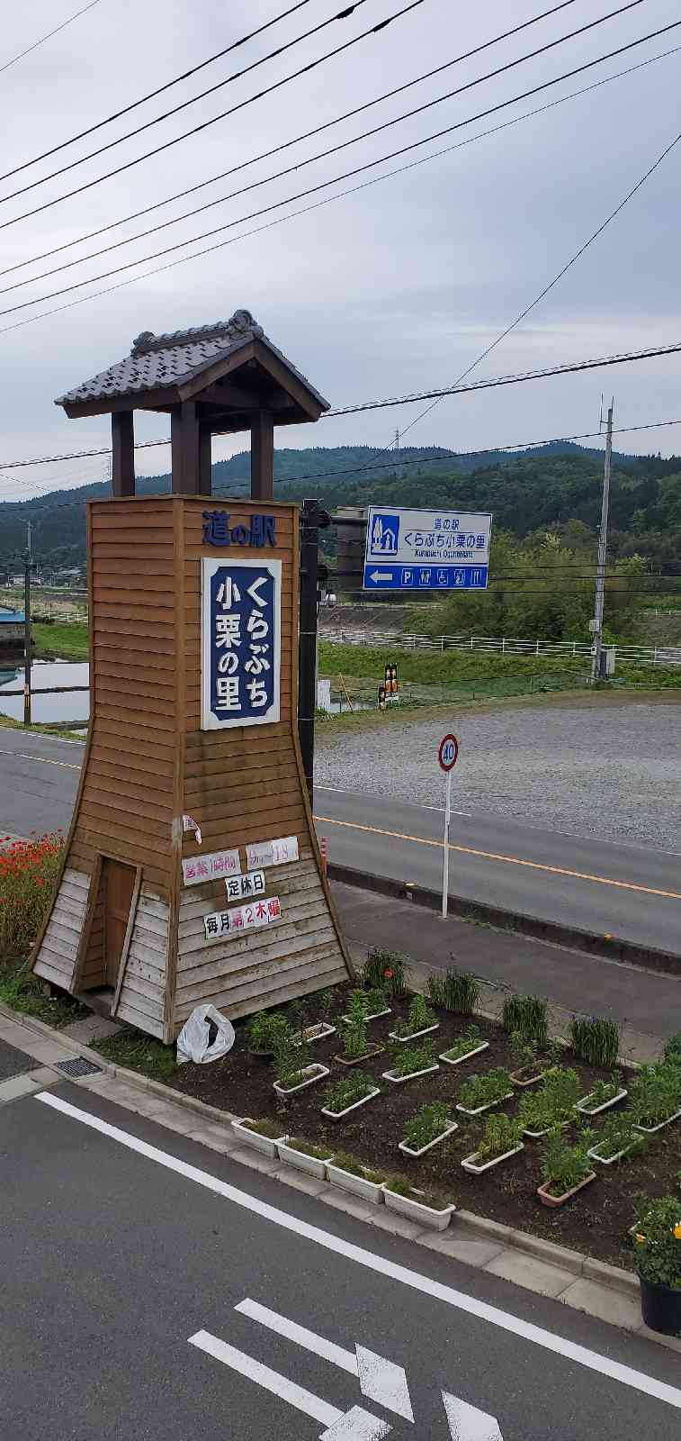 投稿された画像