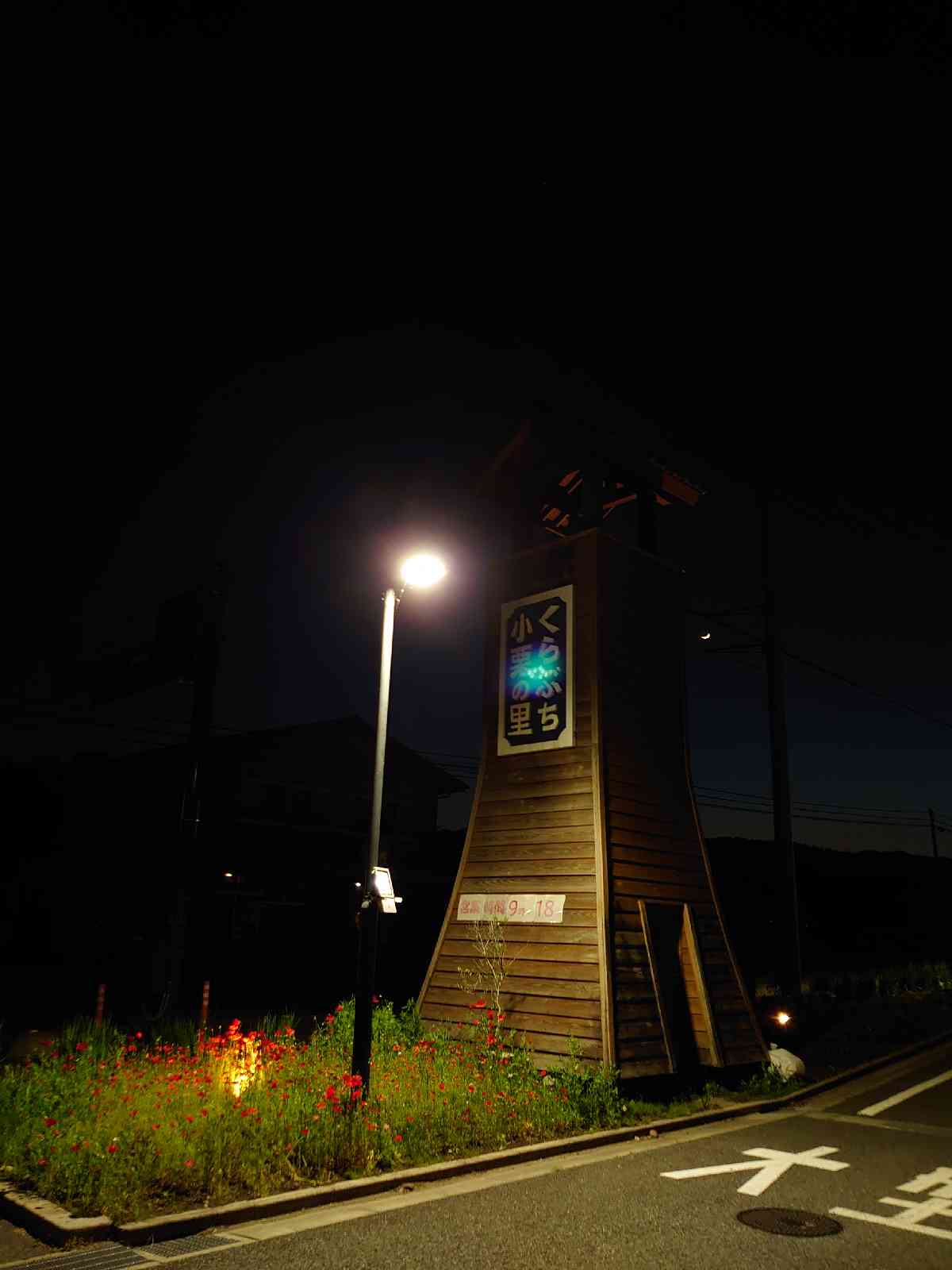 投稿された画像