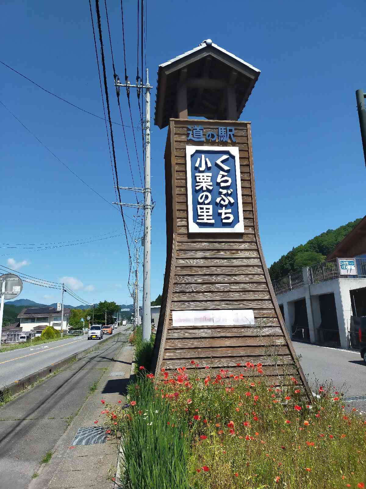 投稿された画像