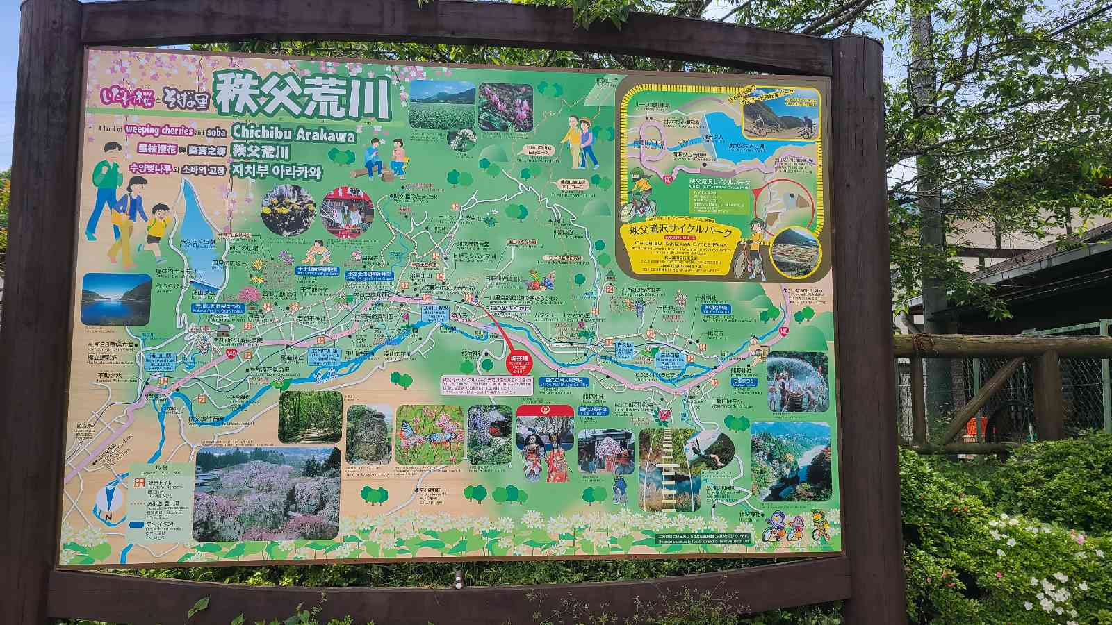 投稿された画像