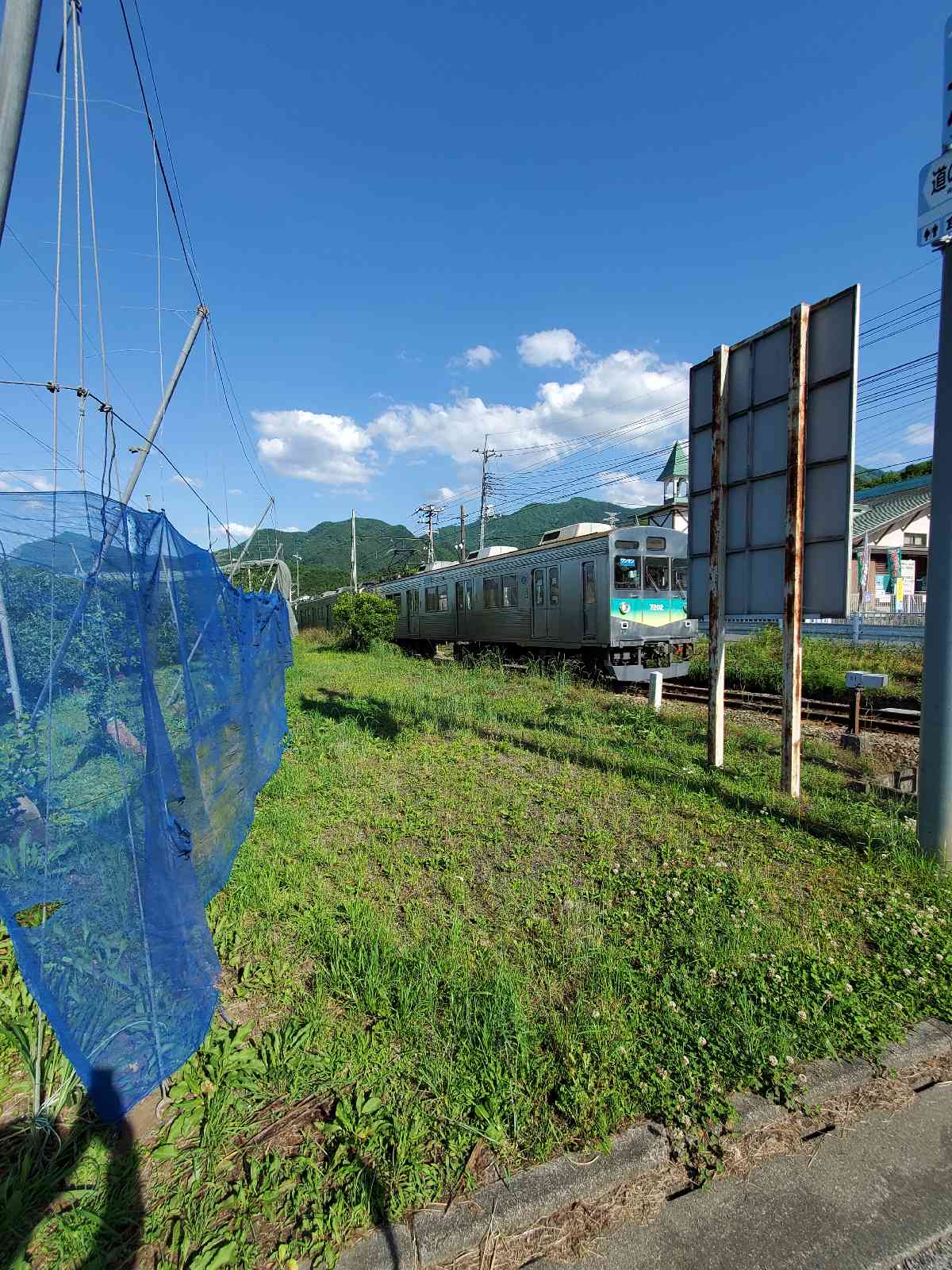 投稿された画像