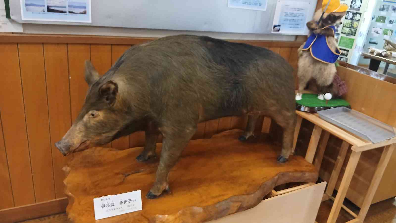 道の駅 あらかわの写真