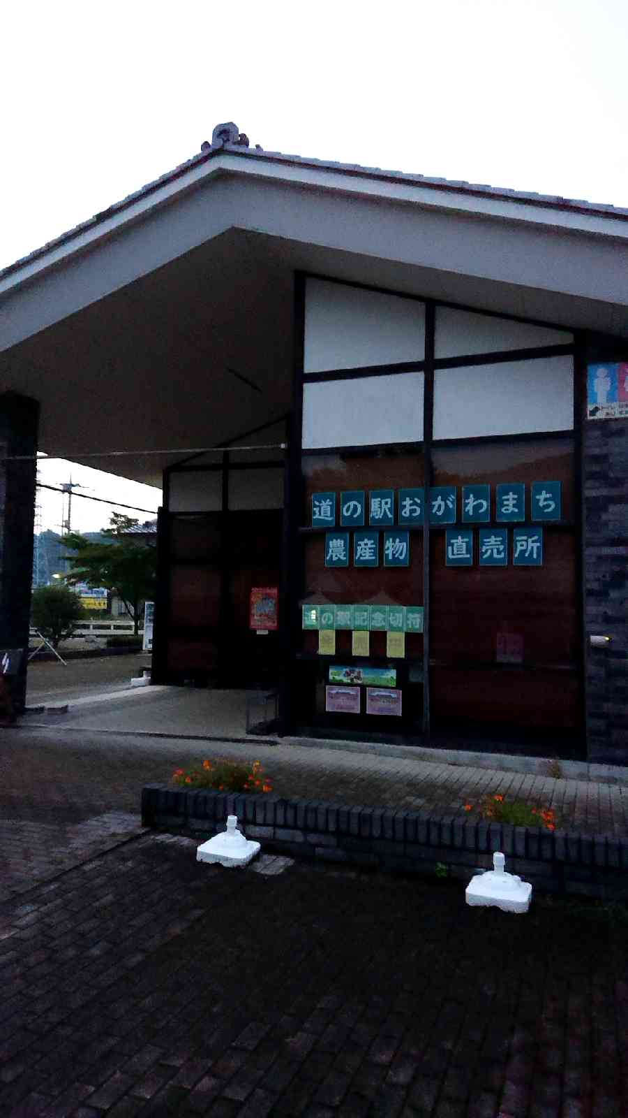 投稿された画像