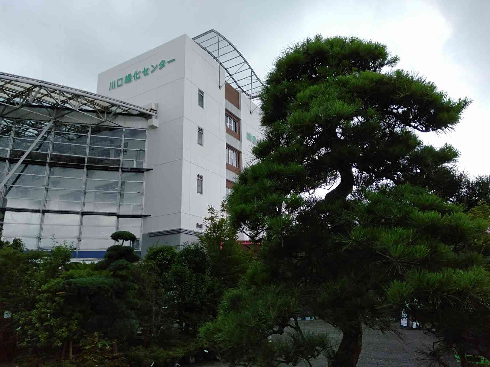 投稿された画像