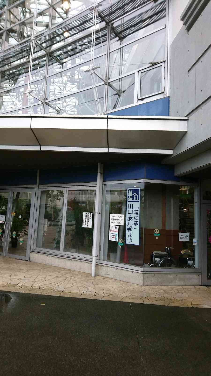 投稿された画像