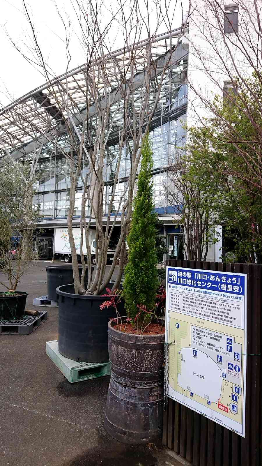 投稿された画像