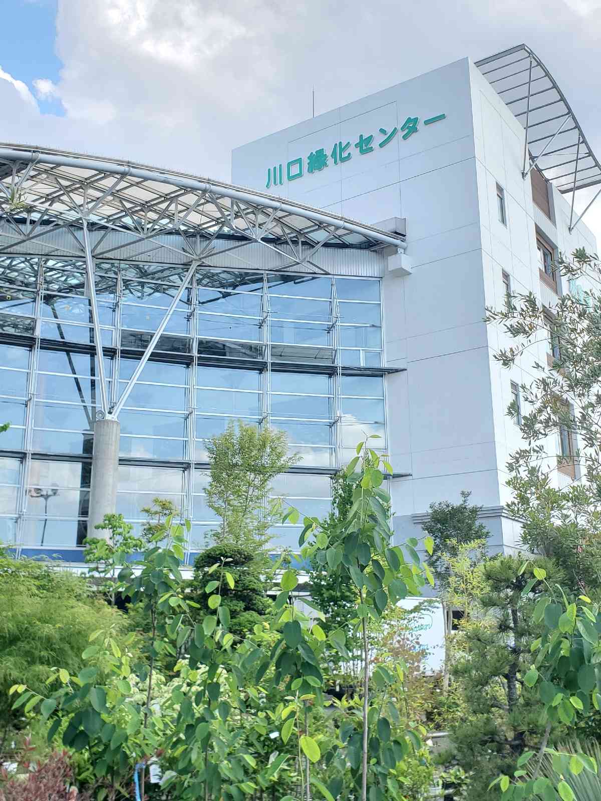 投稿された画像