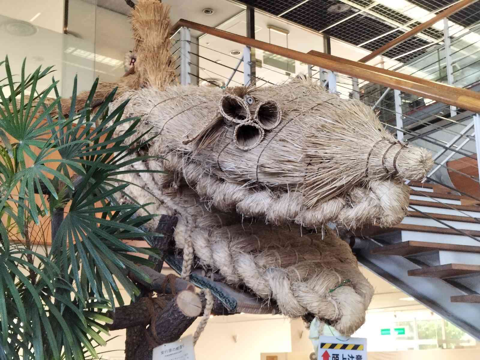投稿された画像