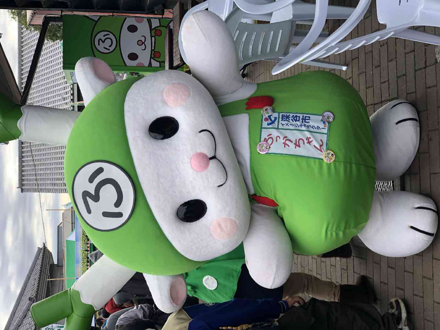 投稿された画像