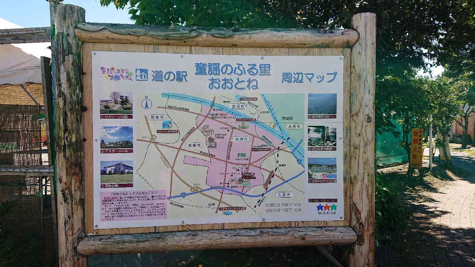 投稿された画像