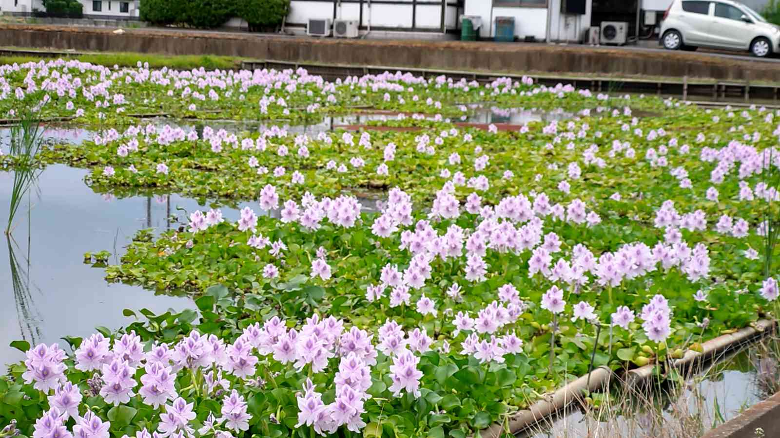 投稿された画像