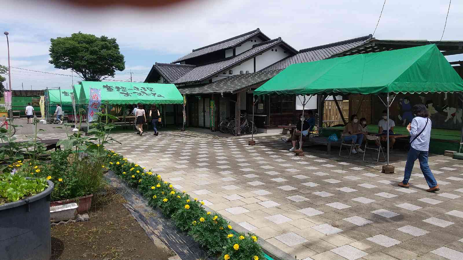 投稿された画像