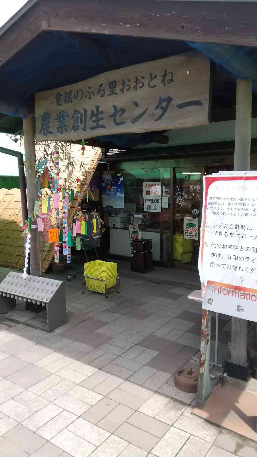 投稿された画像