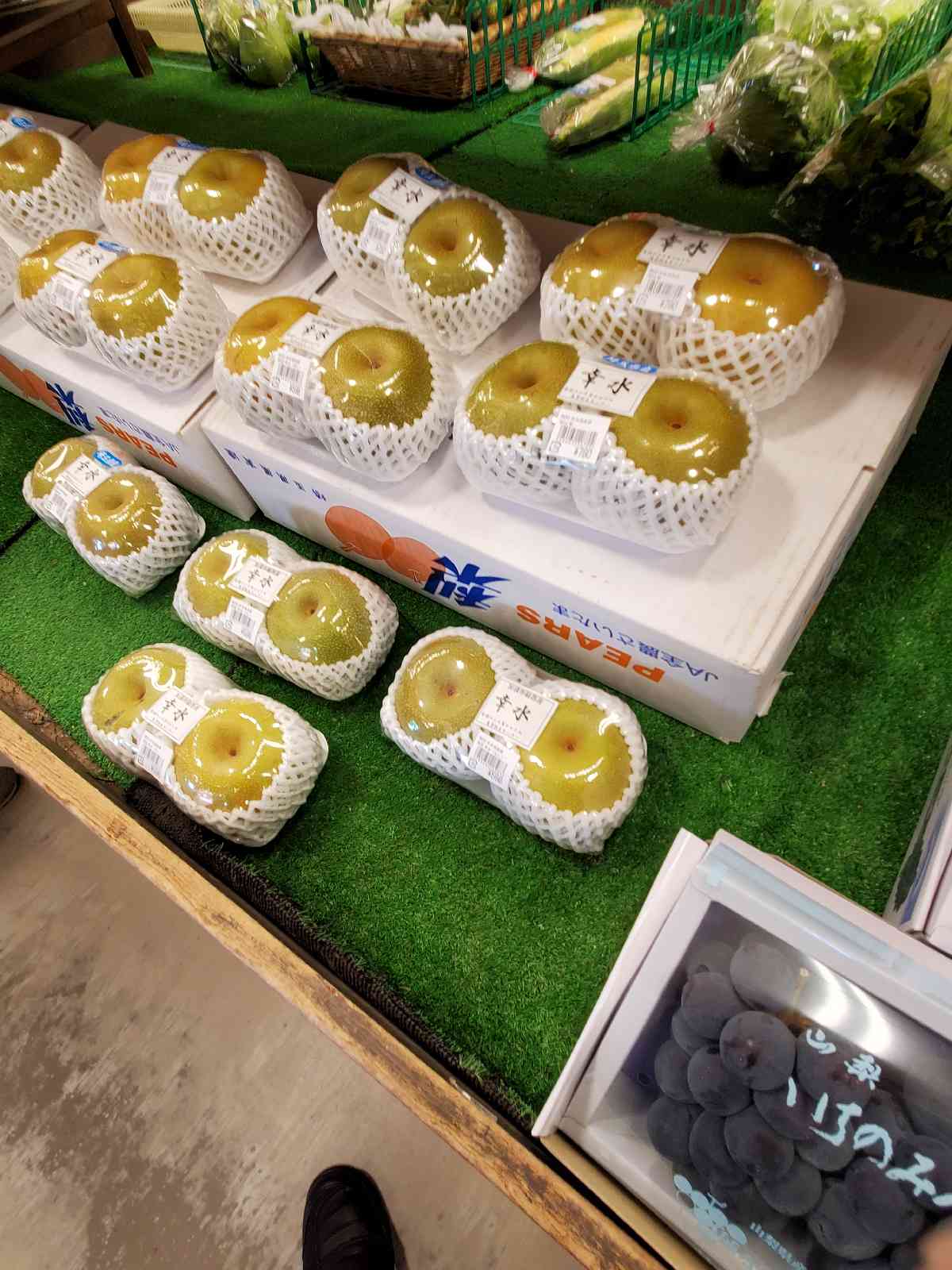 投稿された画像