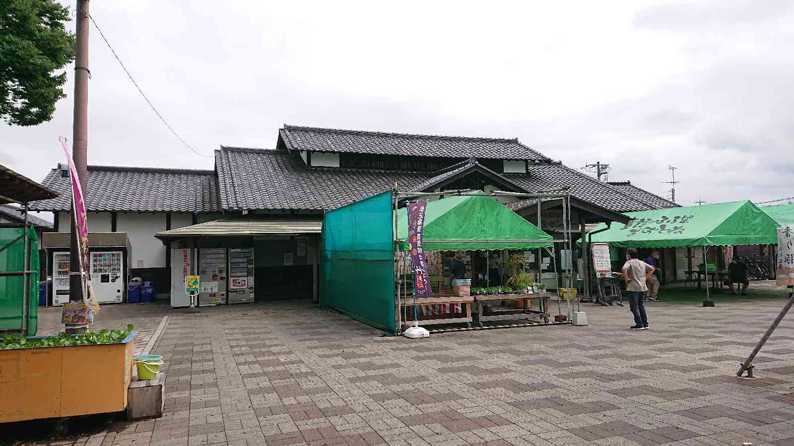 投稿された画像