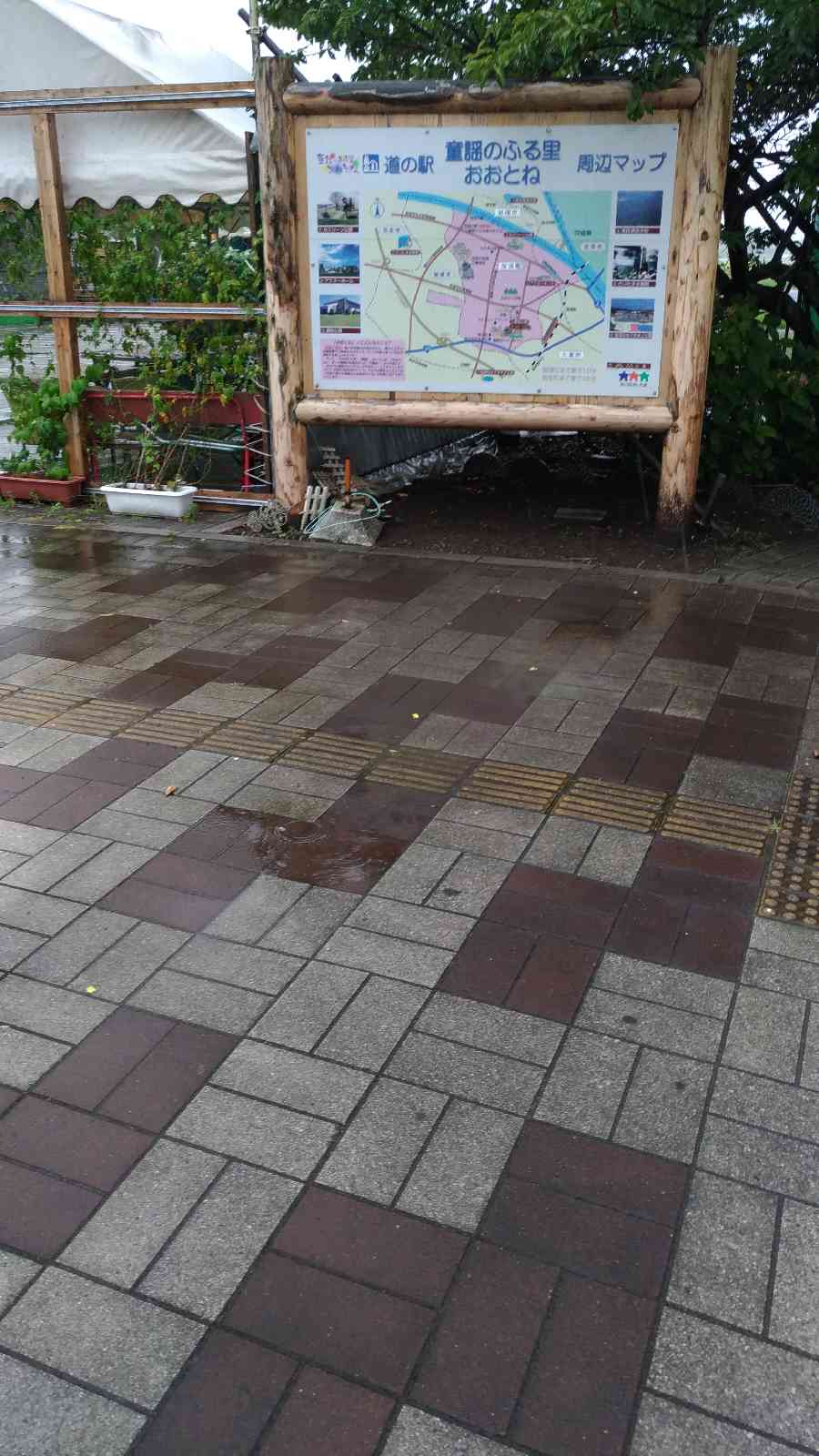 投稿された画像