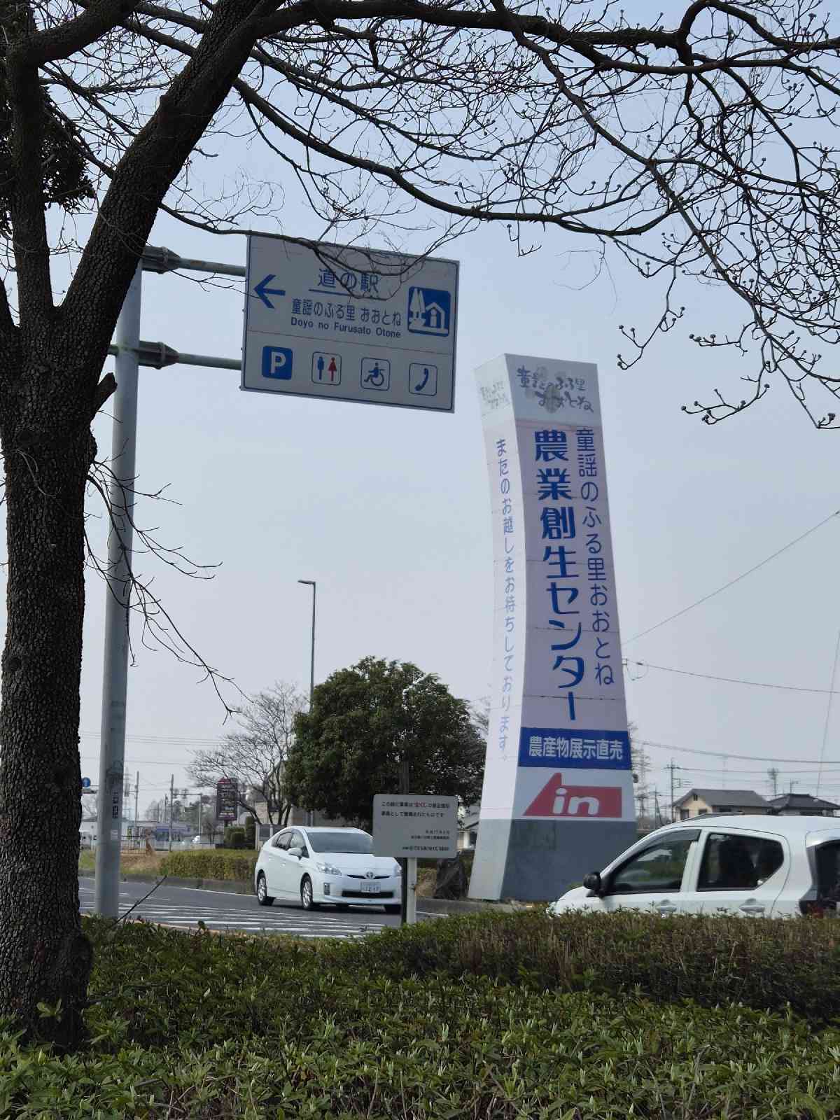 道の駅 童謡のふる里おおとねの写真