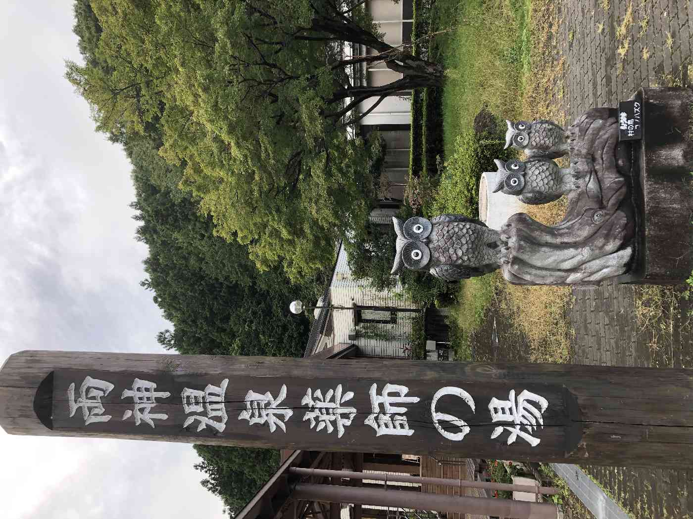 投稿された画像