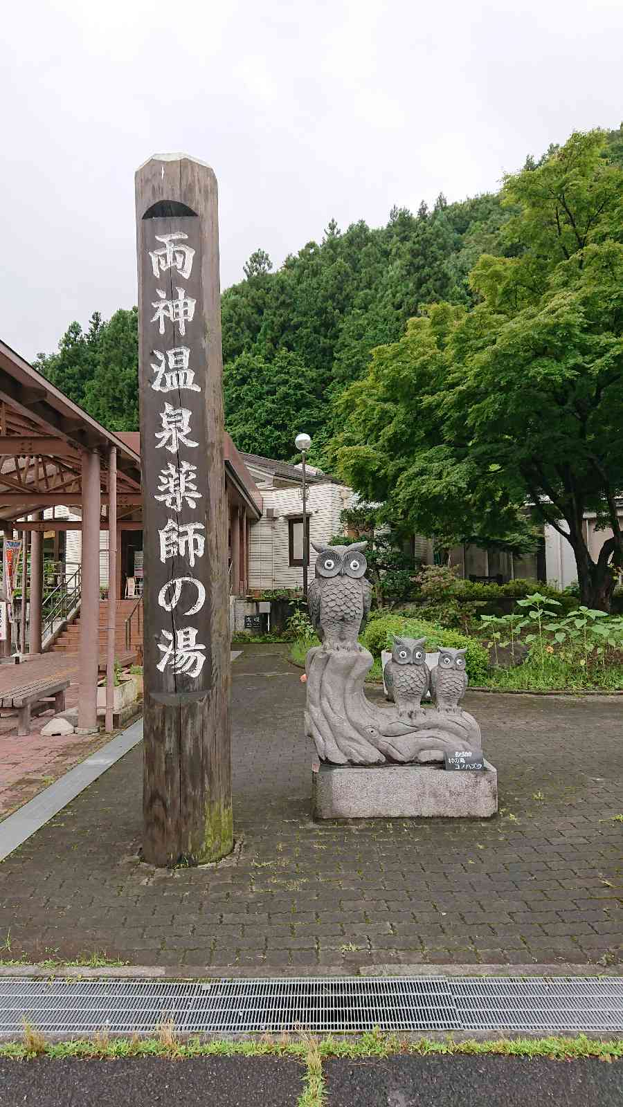 投稿された画像
