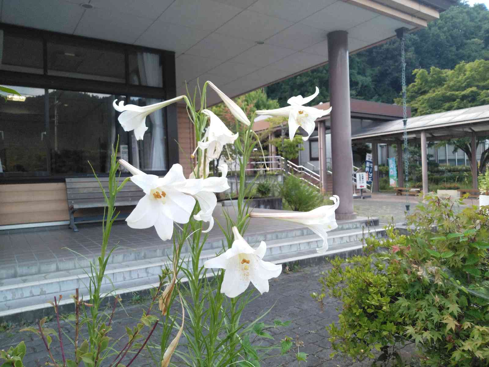 投稿された画像