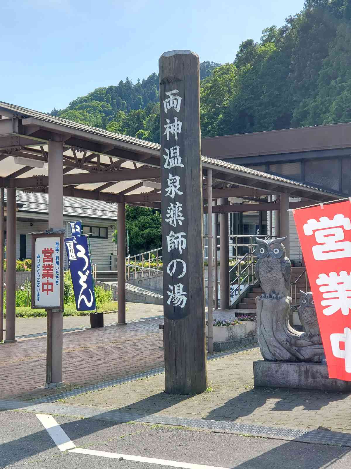 投稿された画像