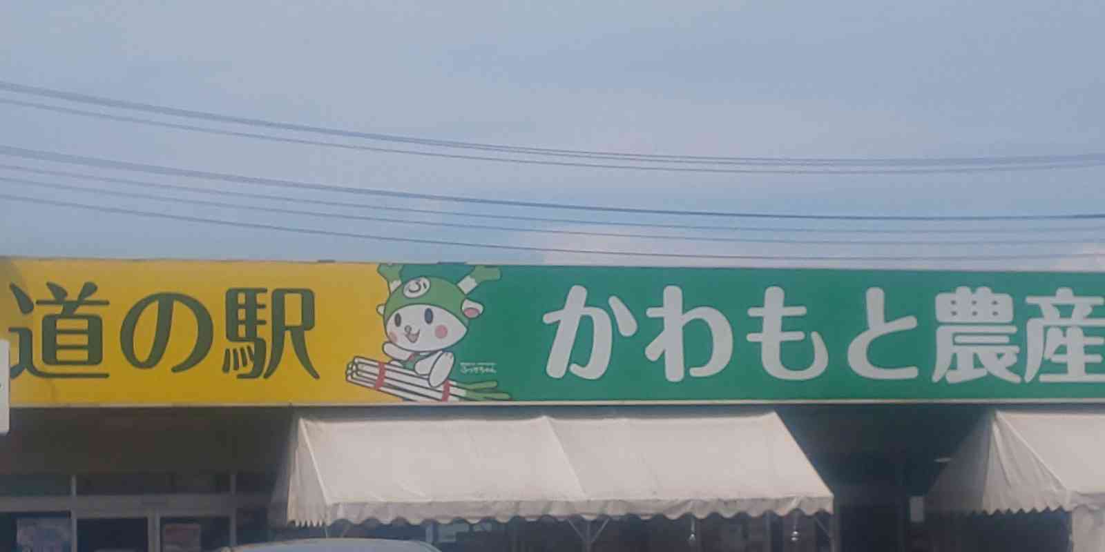 道の駅 かわもとの写真