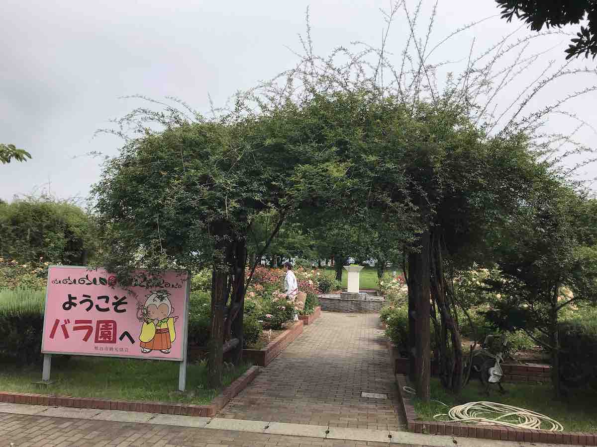 投稿された画像