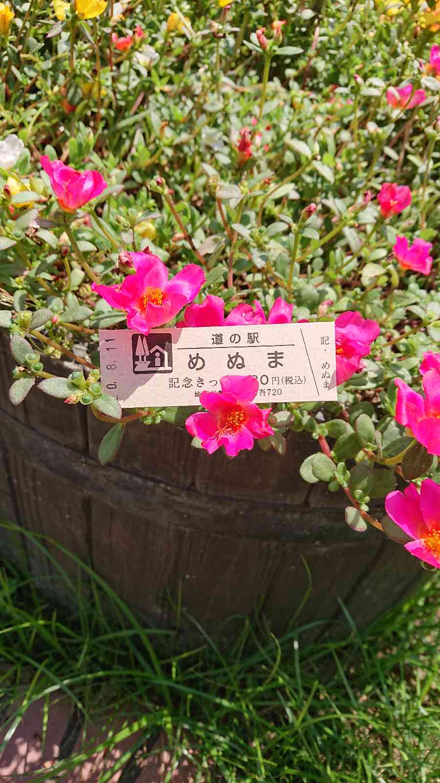 投稿された画像