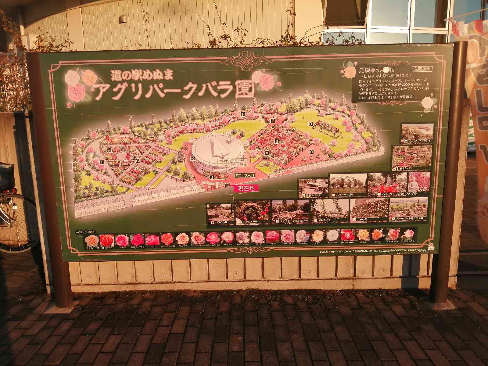 投稿された画像
