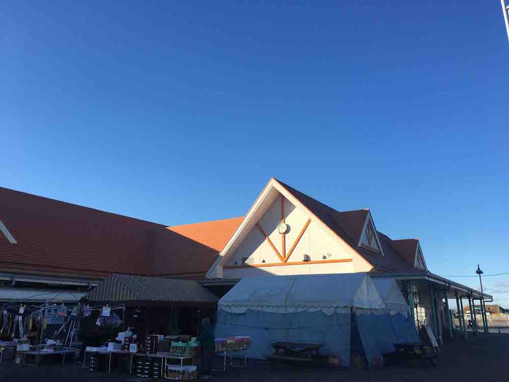 投稿された画像