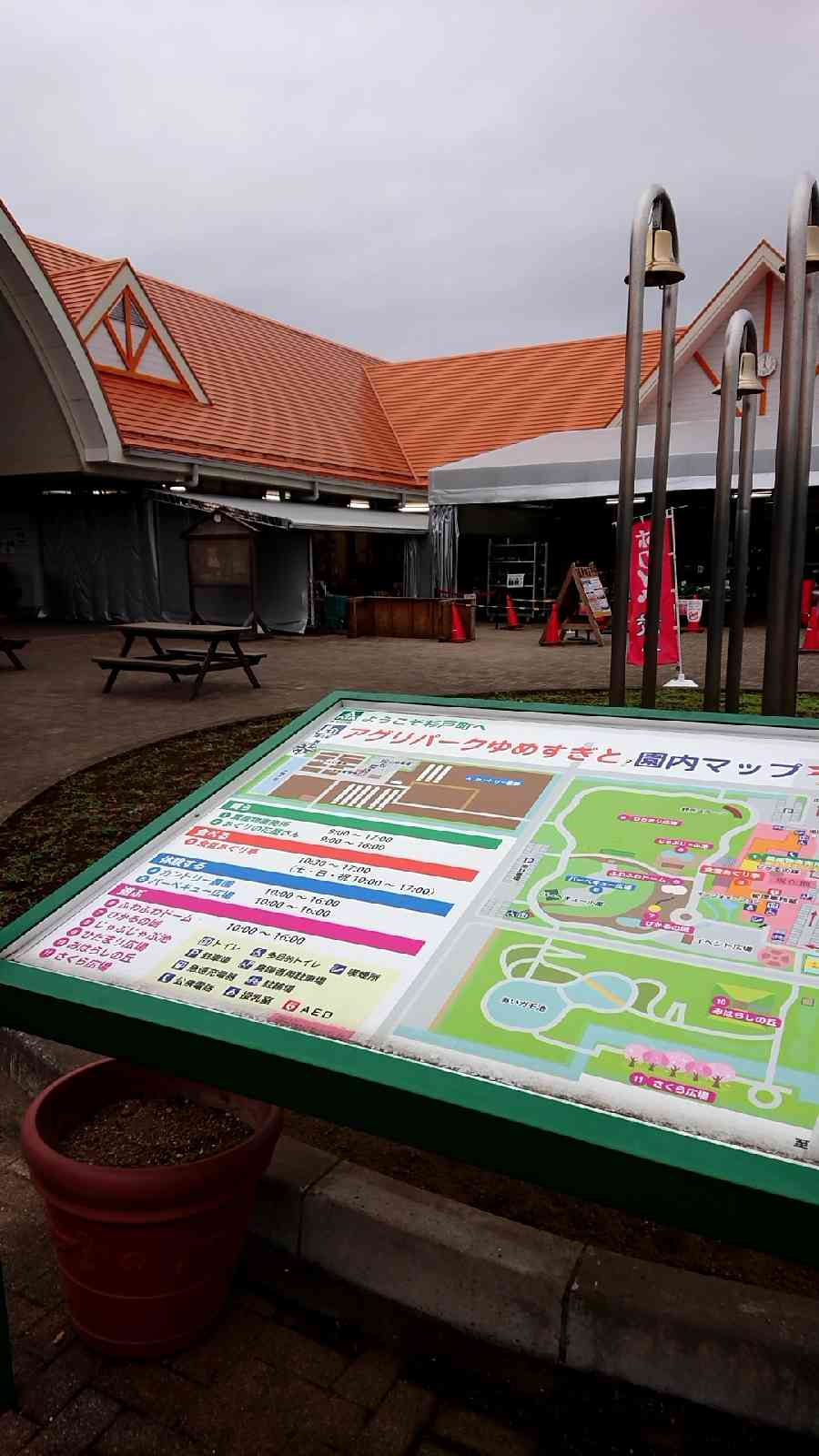 投稿された画像