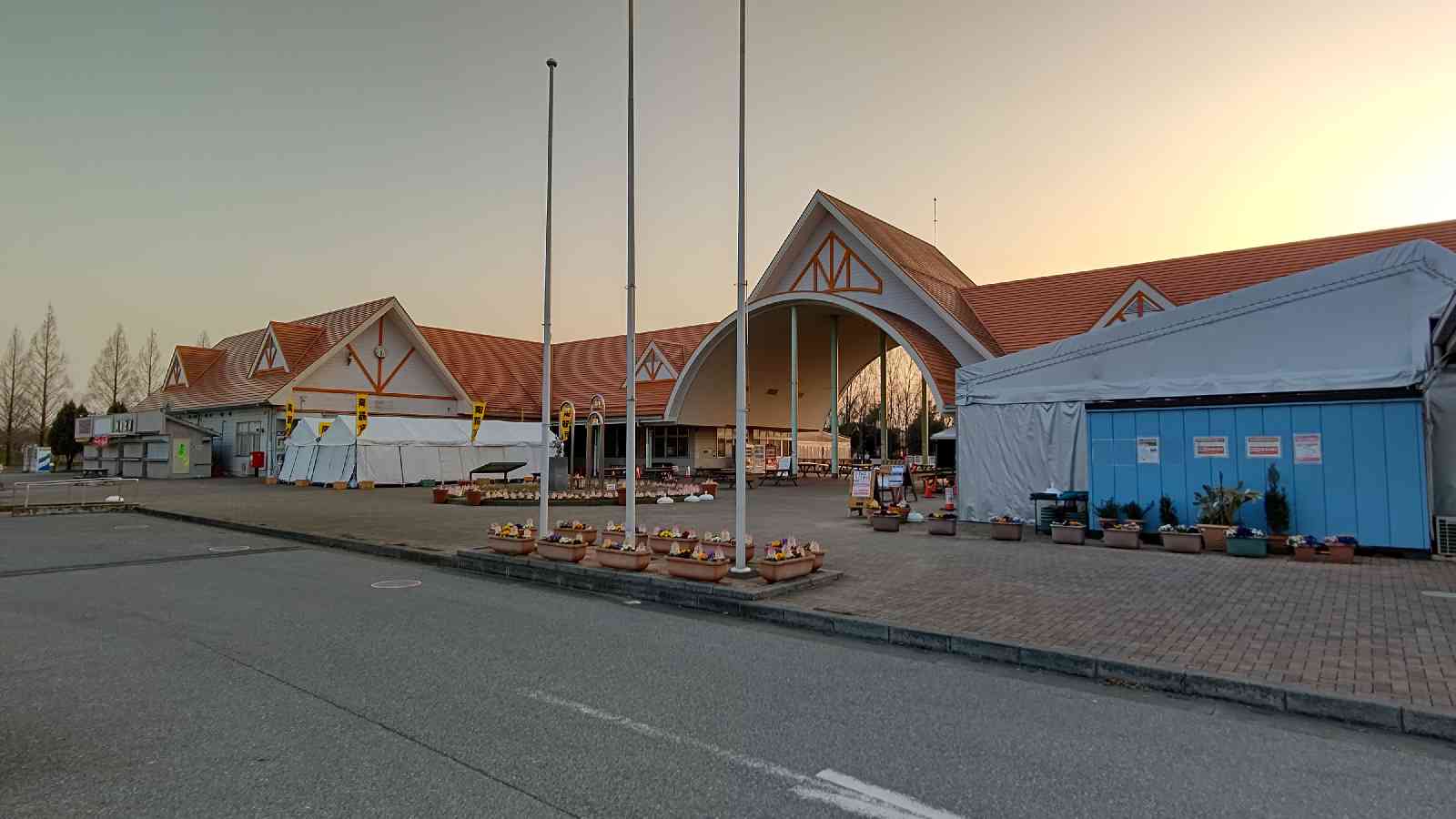 投稿された画像