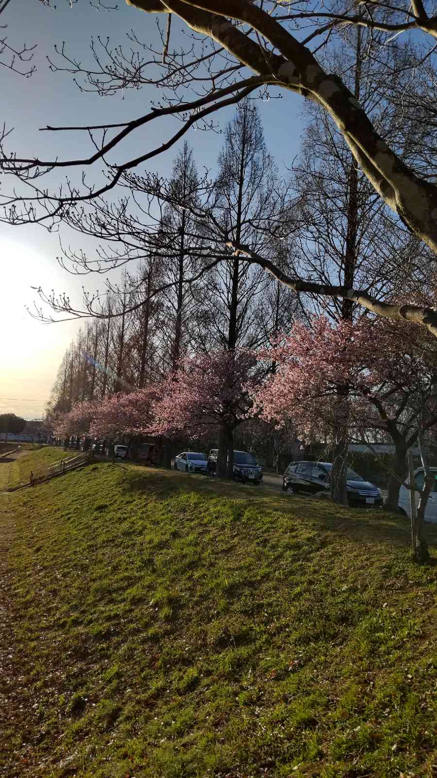 道の駅 アグリパークゆめすぎとの写真