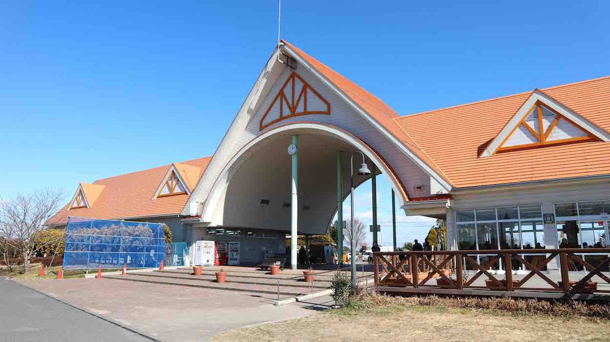 投稿された画像