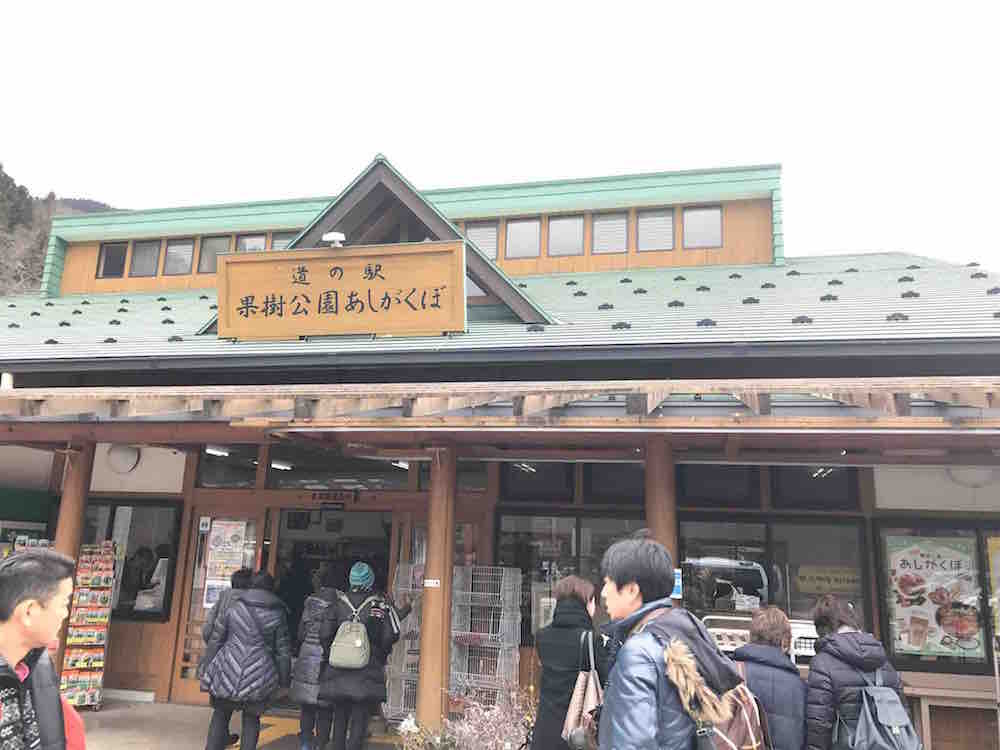 投稿された画像