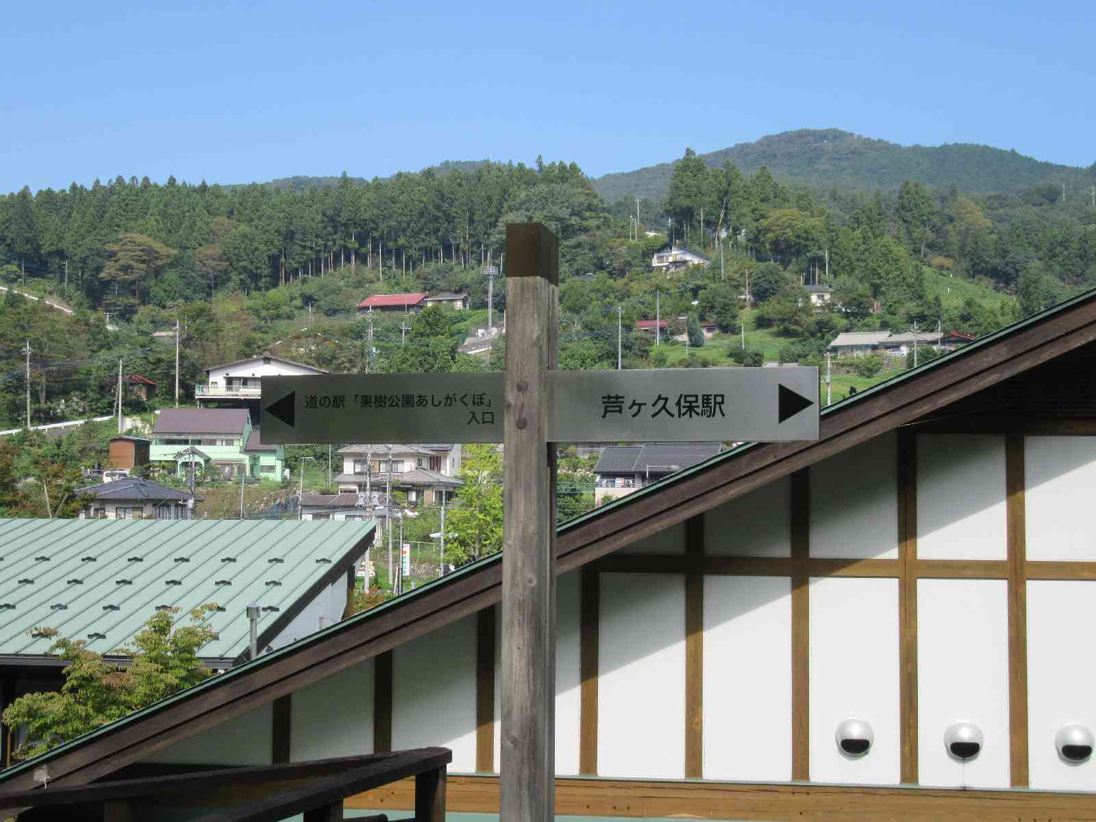 投稿された画像