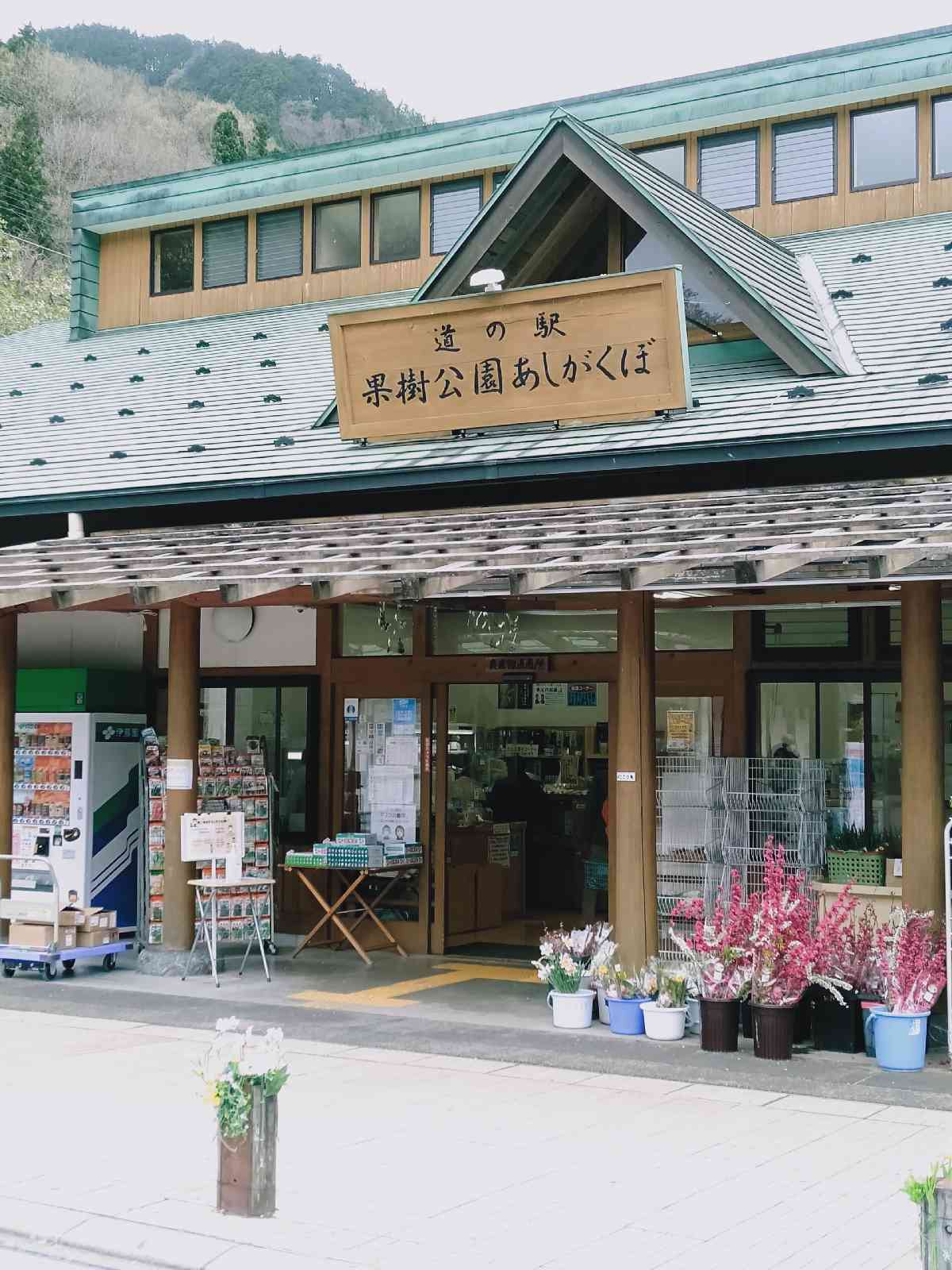 投稿された画像
