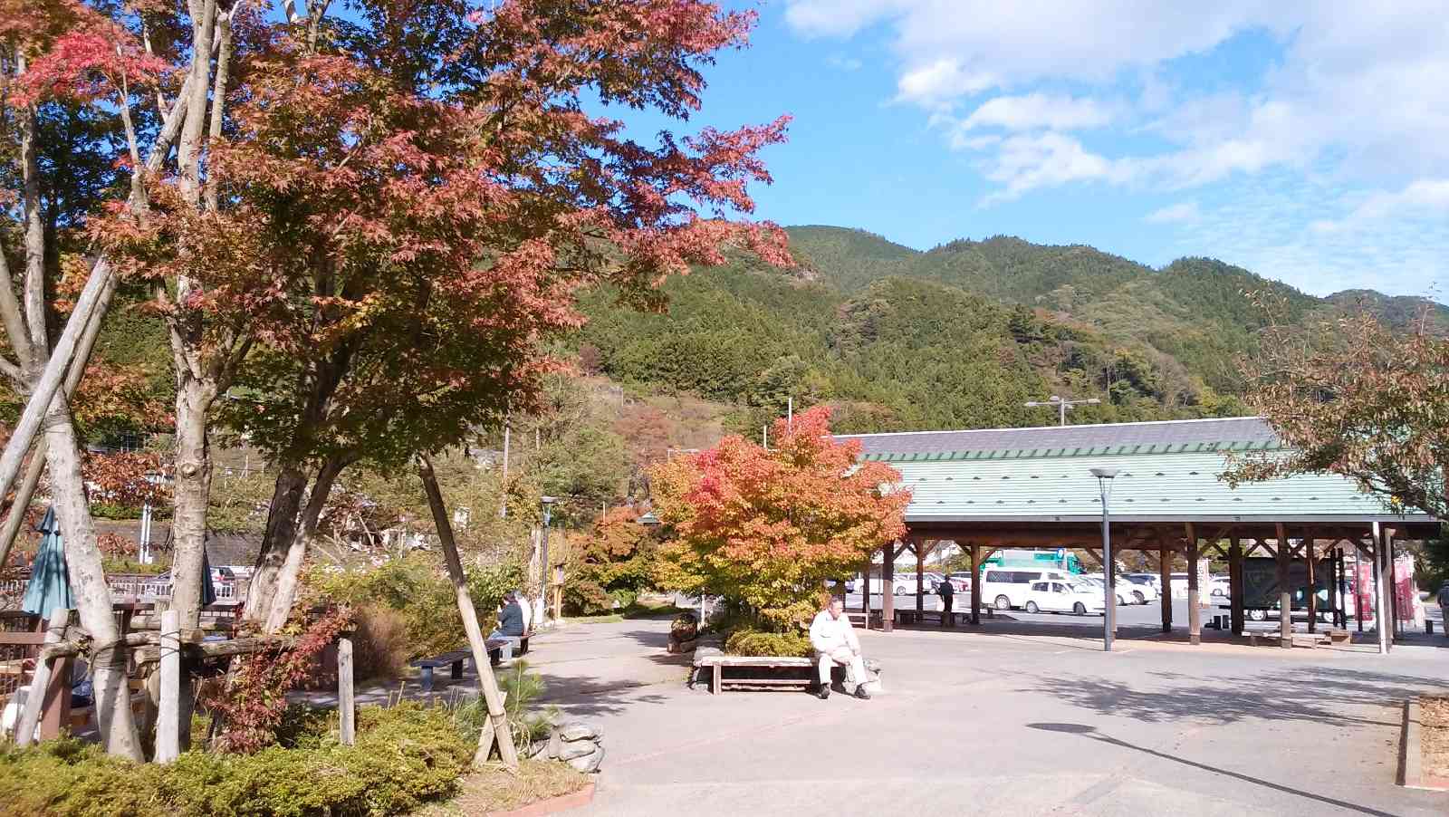 投稿された画像