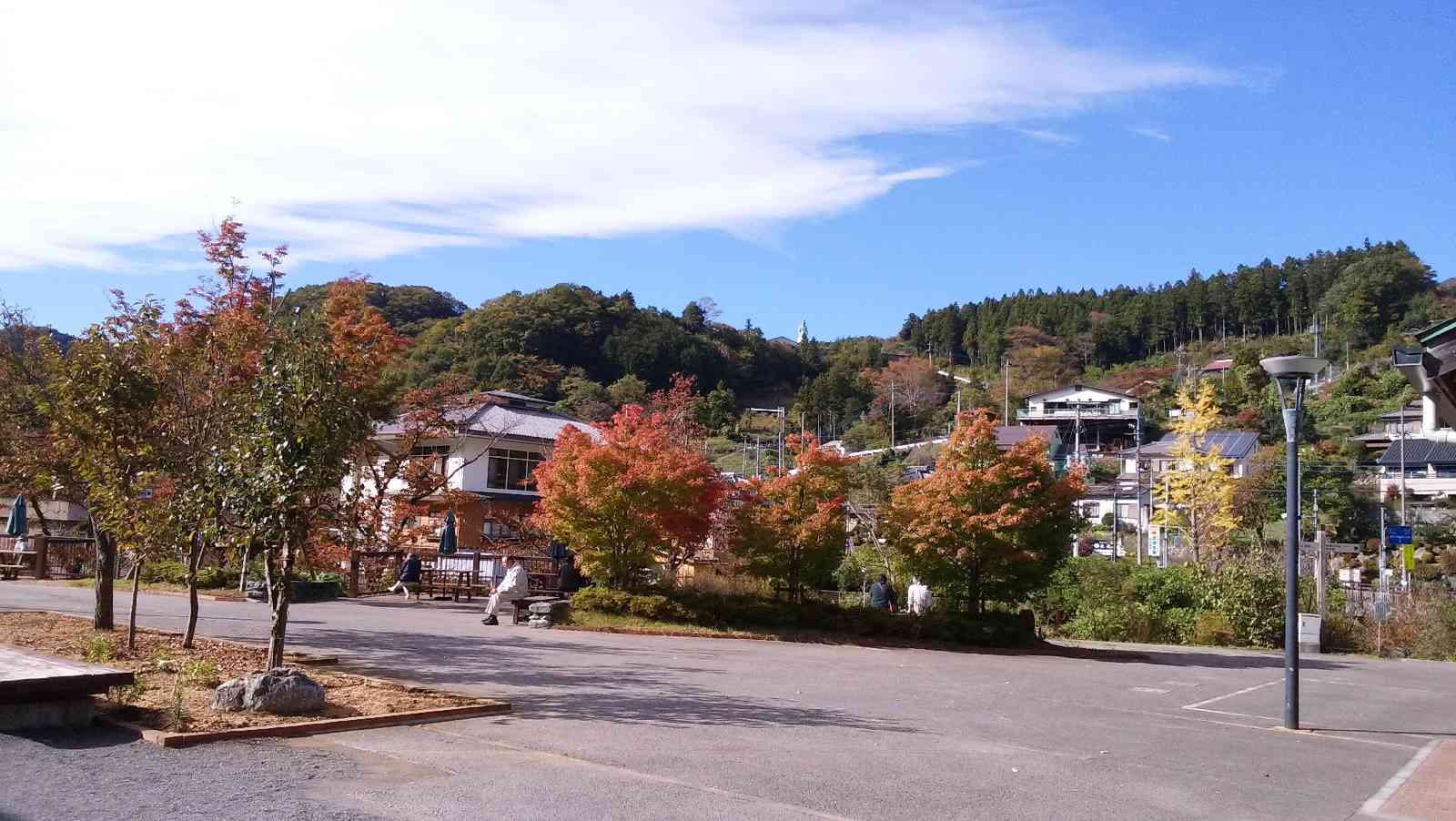 投稿された画像