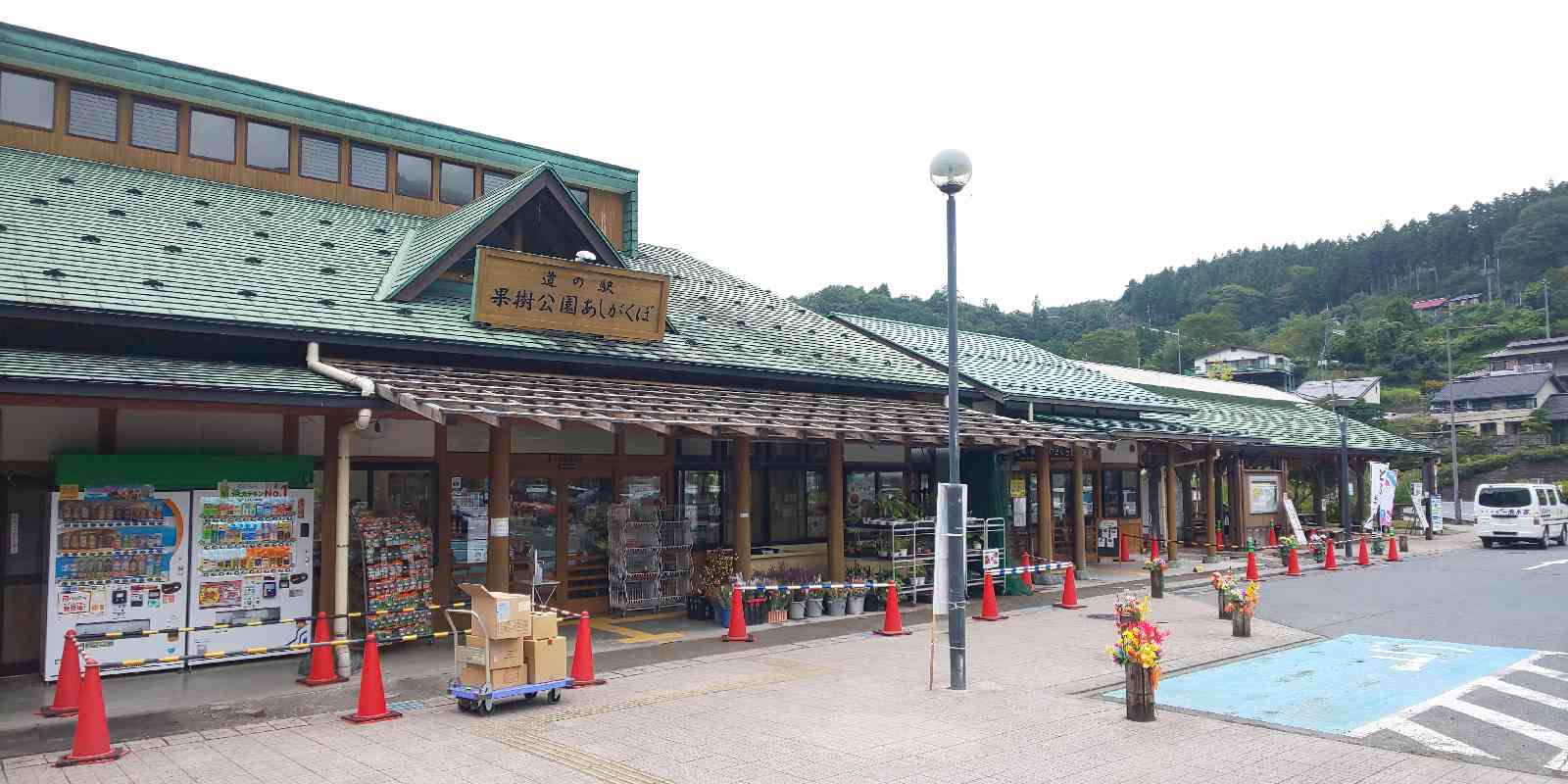 投稿された画像