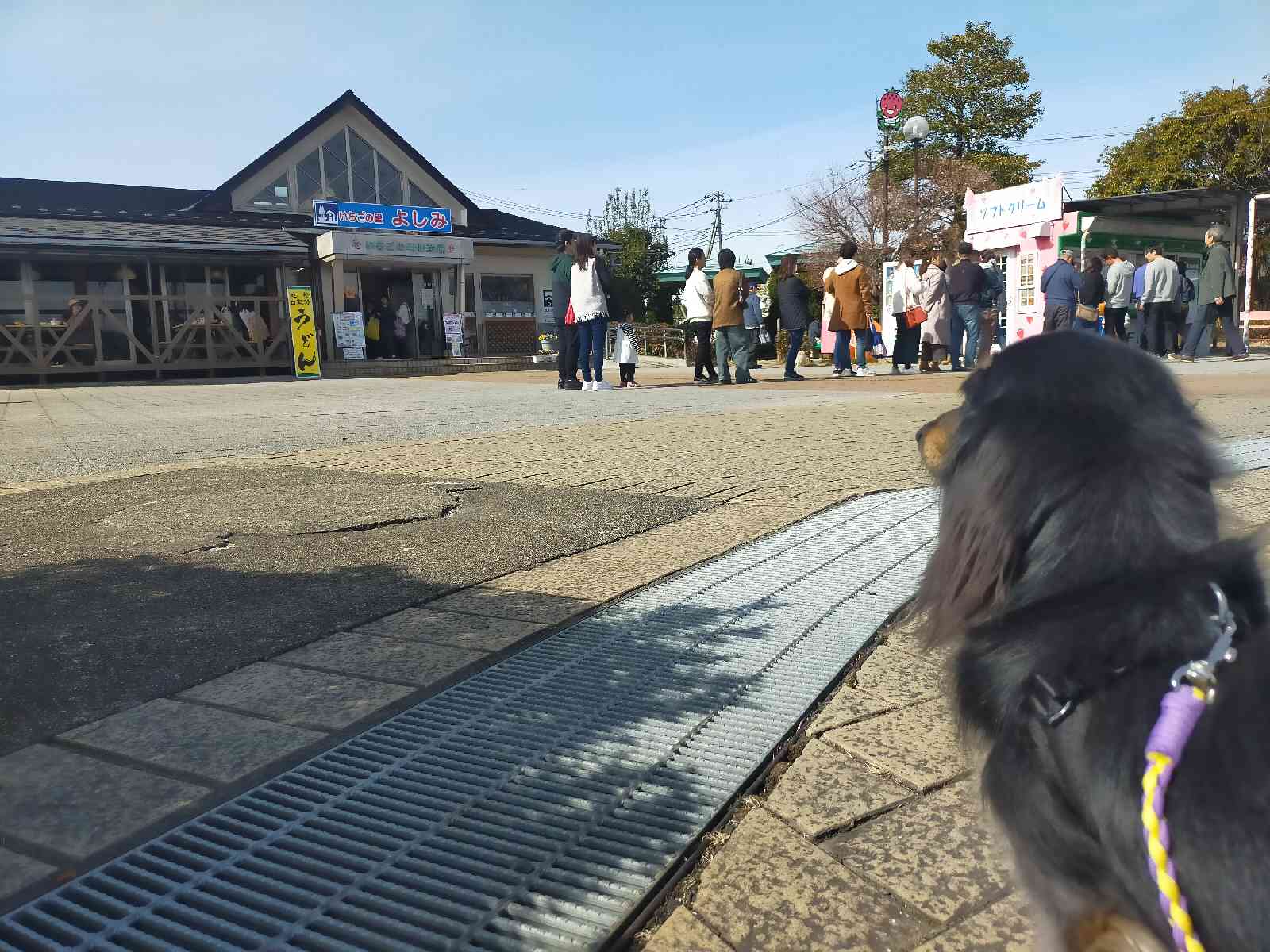 道の駅 いちごの里　よしみの写真
