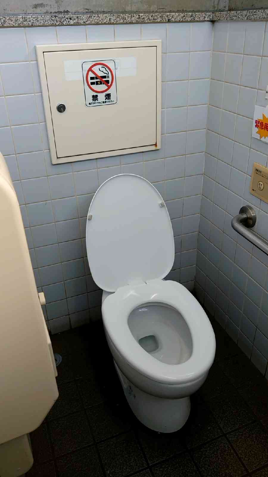 投稿された画像
