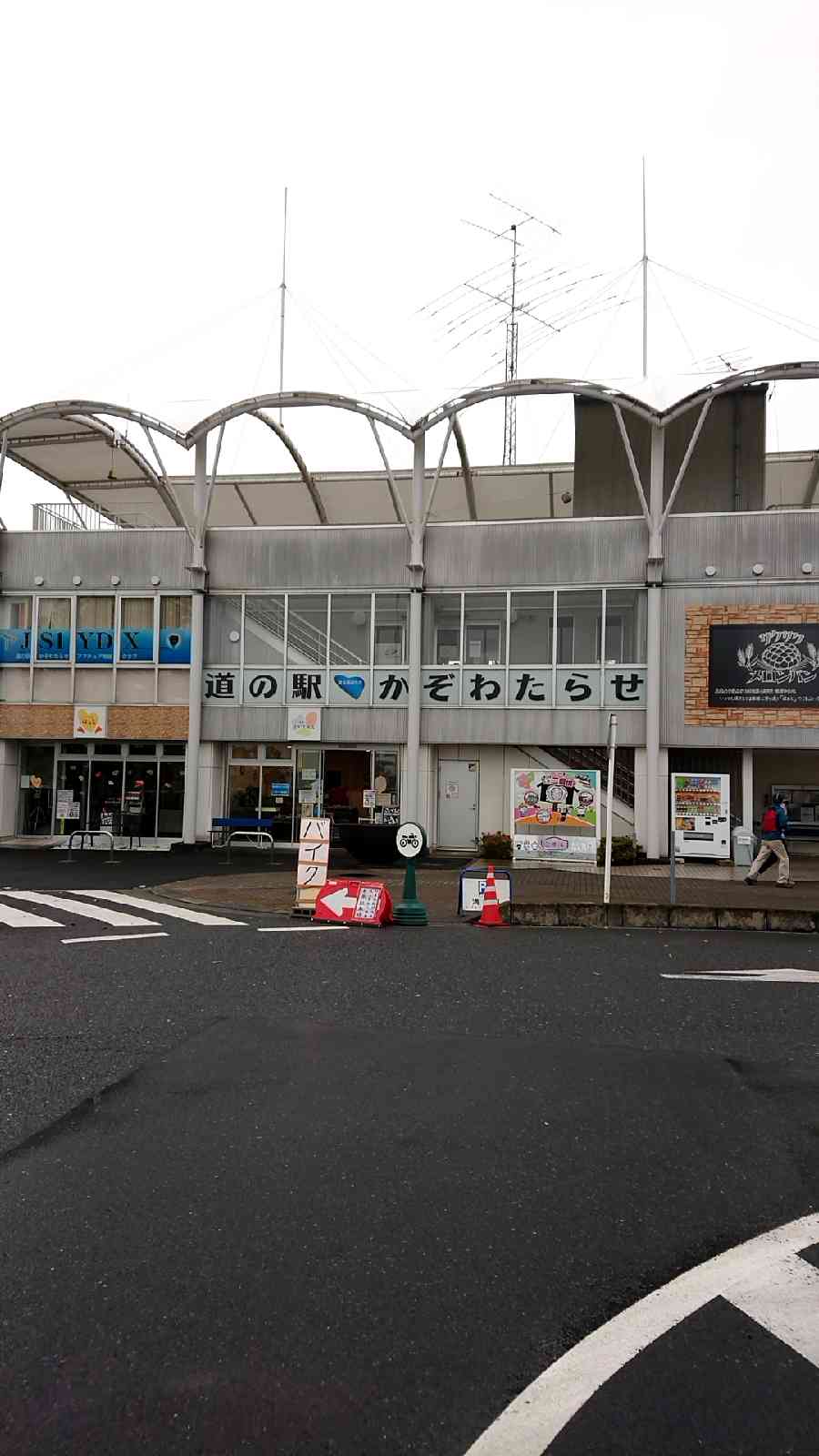 投稿された画像