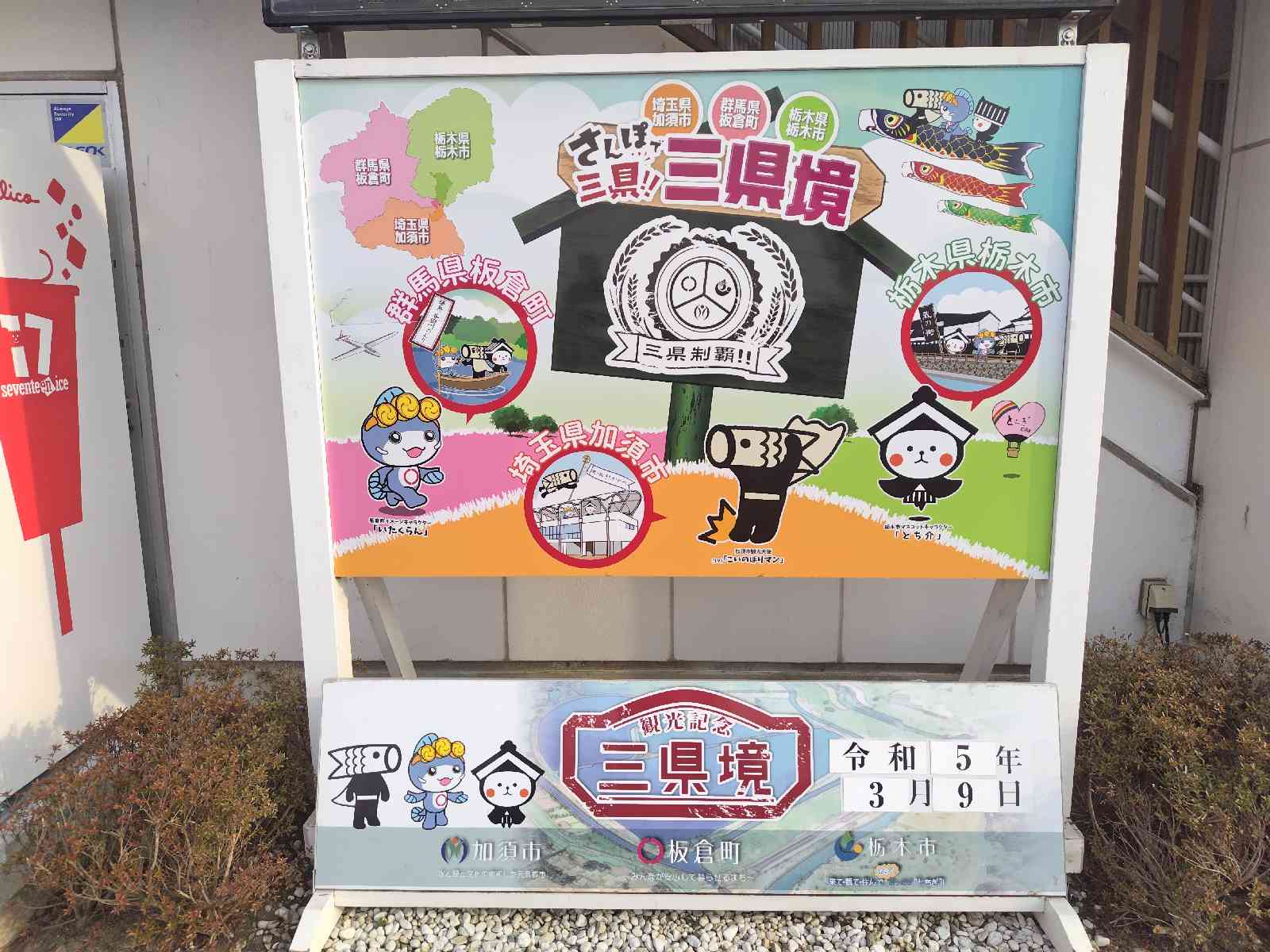投稿された画像